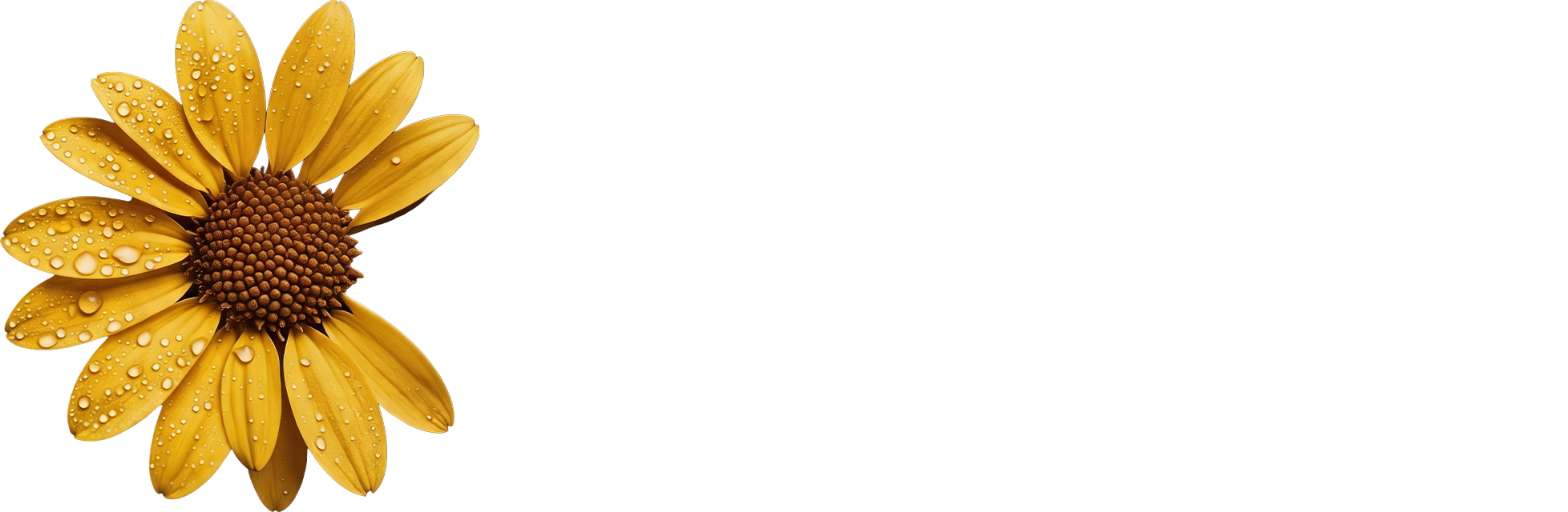 CETY潮牌